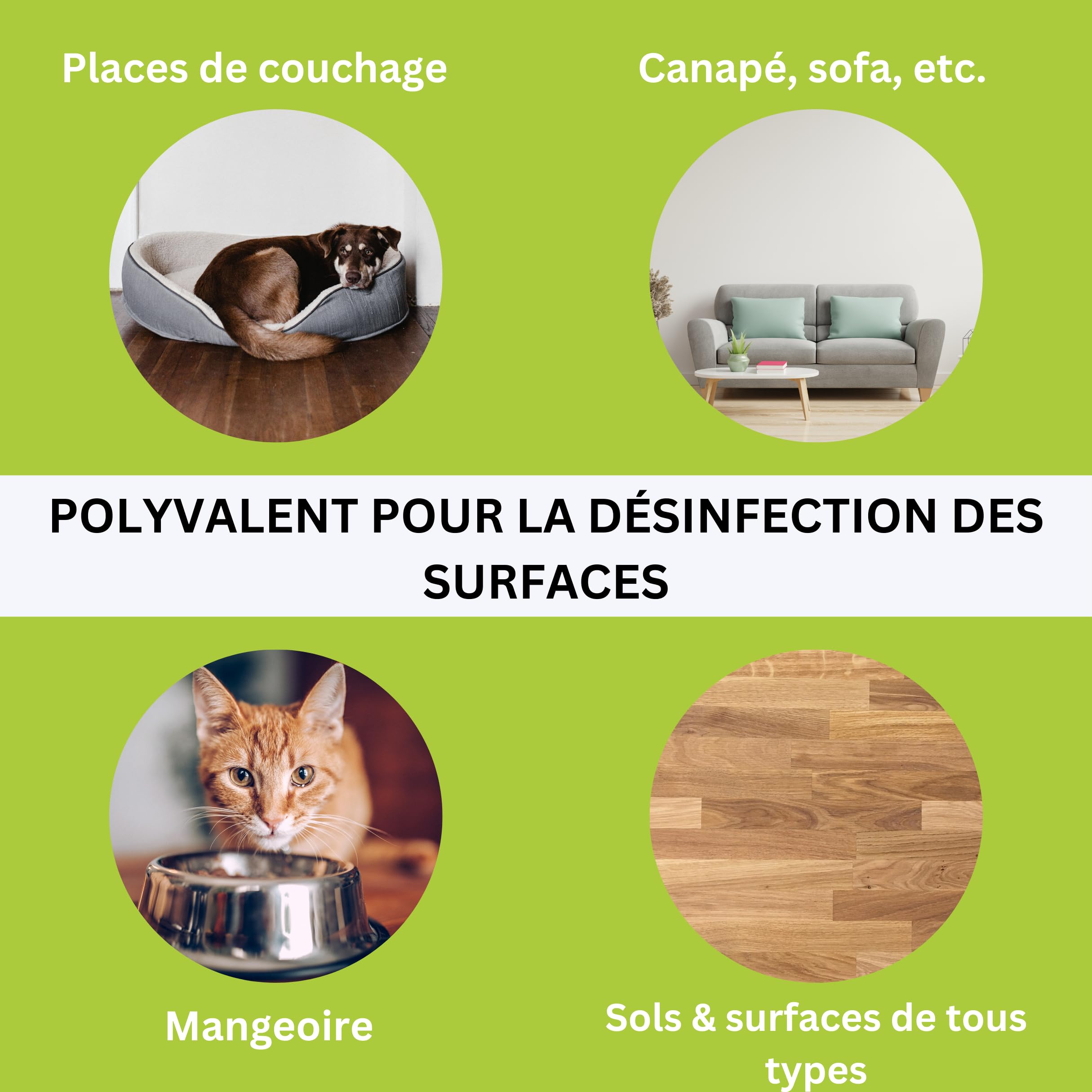 ViPiBaX Giardia-Spray pour Chien, Chat & Co - Éliminateur d'odeurs - Spray d'hygiène - Désinfection Efficace Contre Les giardias, Virus, Champignons & bactéries - 500ml