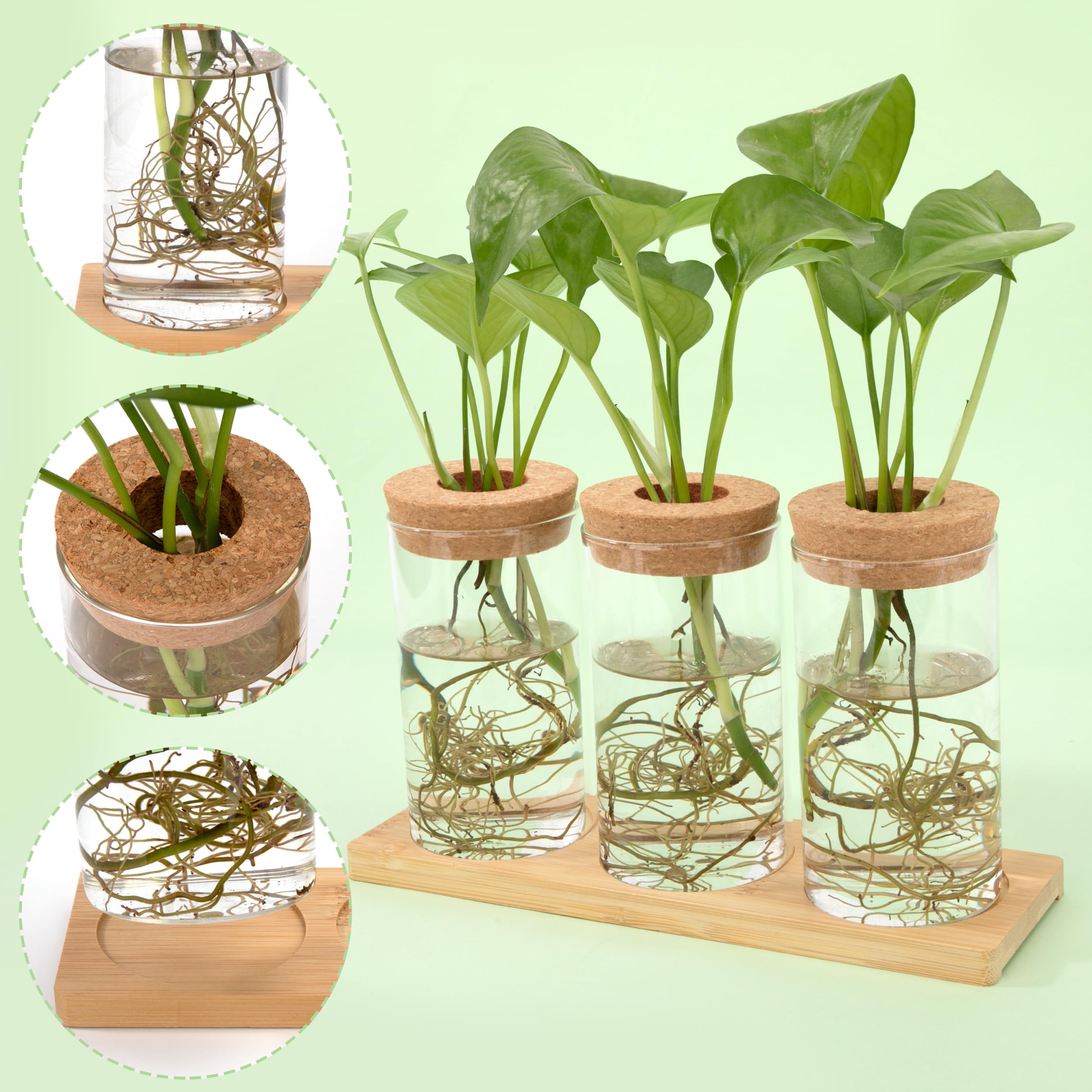 Stations de Propagation de Plantes Vases Hydroponiques avec Socle et Bouchons en Bois 3 Pièces pour Plantes Aquatiques ou Fleurs