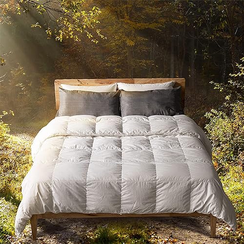 Sleep Blueprint - Relleno de edredón para todas las estaciones (tamaño King 104 x 90 pulgadas) por TY Group/1Concier disponible en Yaxa Costa Rica