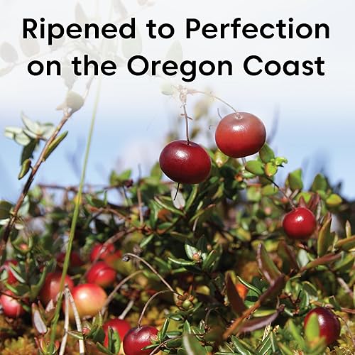 Miniatura 5 de Wilderness Poets Arándanos de Oregon (endulzados con manzanas).