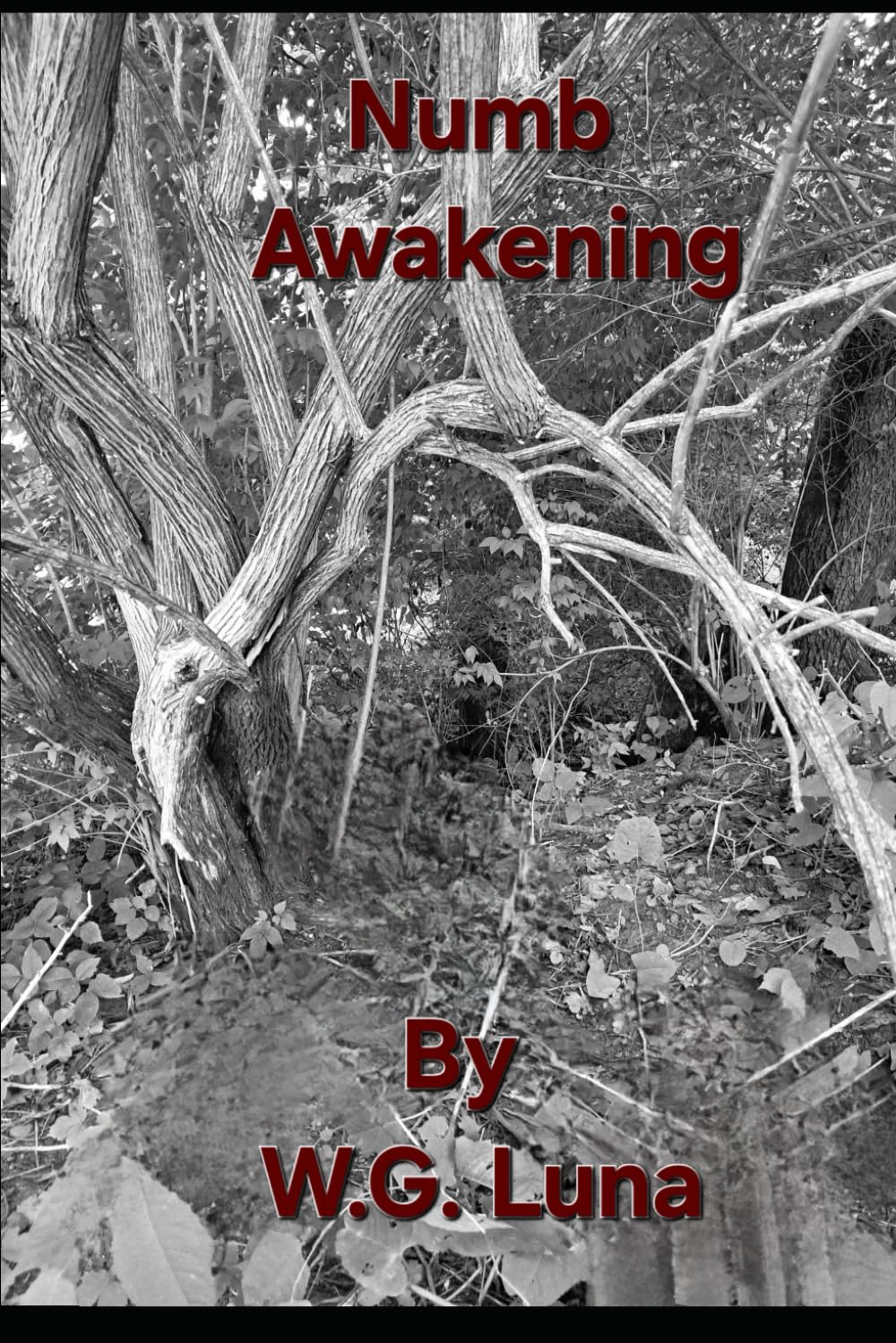 Numb Awakening