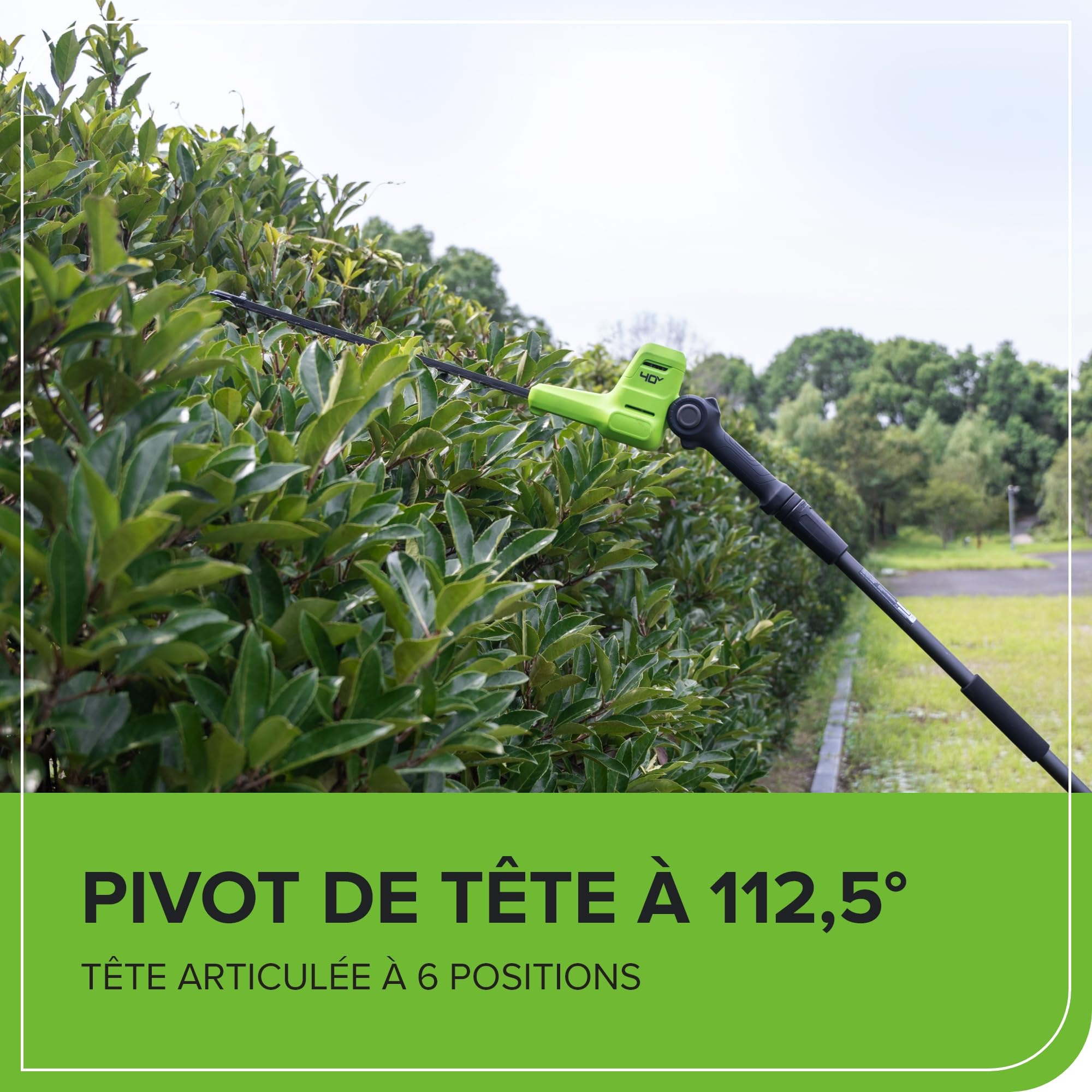 Greenworks 40V Taille-Haie sur Perche, Lames Double Action 51 cm, Coupe jusqu'à 28 mm Épaisseur Branche, Tête Pivotante 112.5°, 3200 TR/Min sans Batterie ni Chargeur, Garantie de 3 Ans PH40B01-01