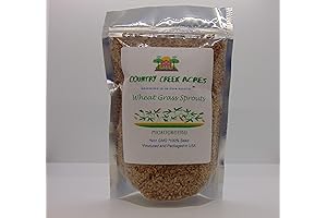 Wheatgrass, Microgreen, Sprouting Seeds for Edible Greens and Gardening
