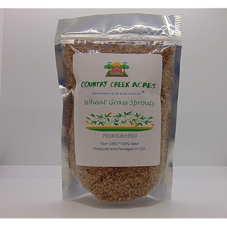 Wheatgrass, Microgreen, Sprouting Seeds for Edible Greens and Gardening