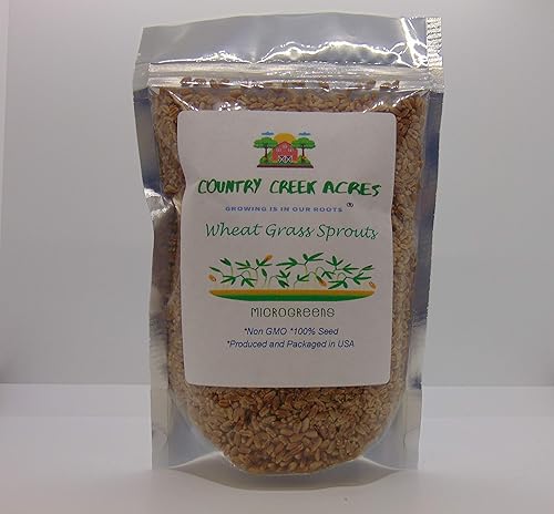 Hierba de trigo, Microverde, brotando, 16 onzas, semillas, sin OMG - Country Creek LLC Marca - Alta germinación de brotes - Semillas comestibles,