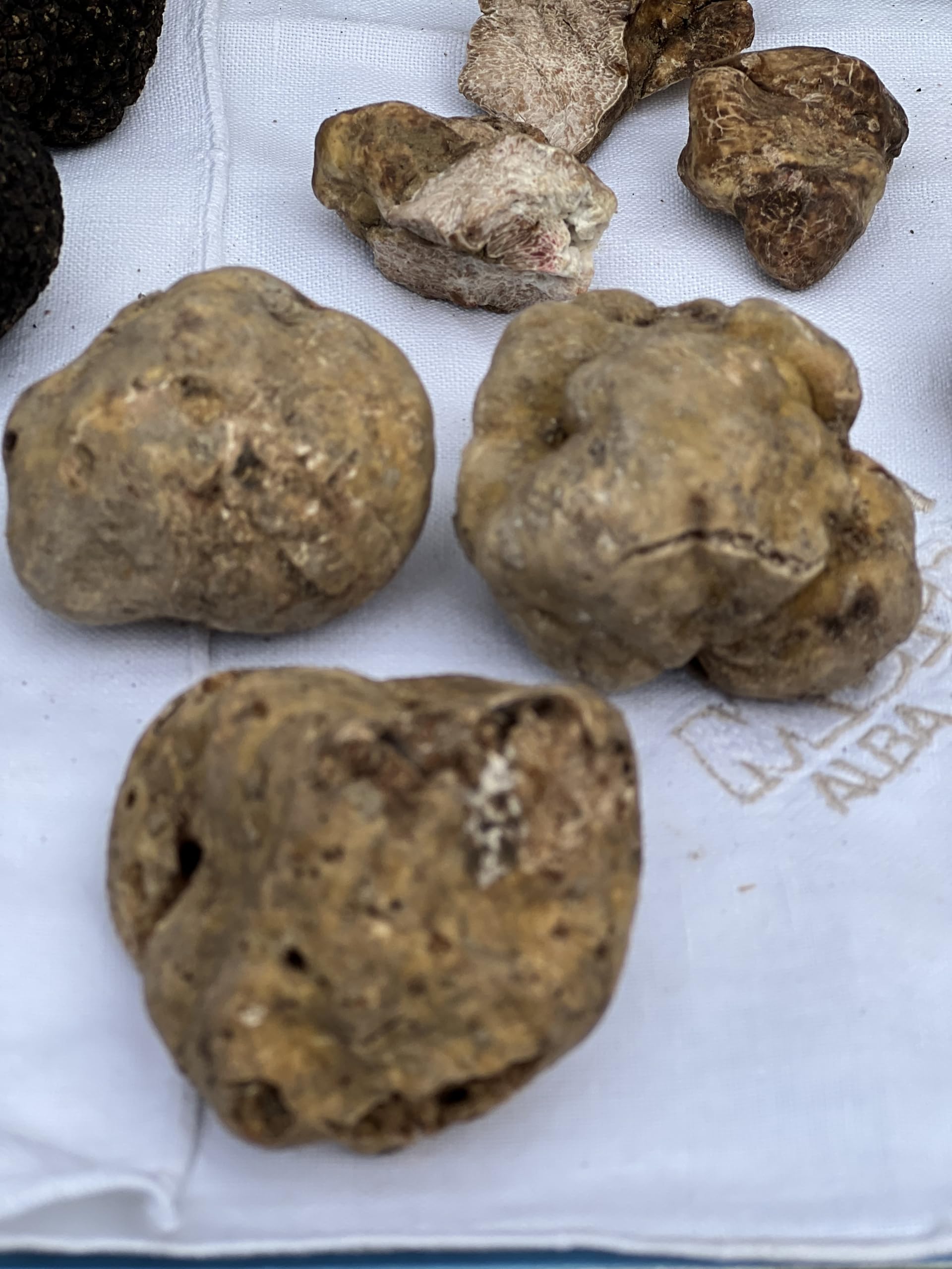 Chilli No. 5 | Trufa blanca, edición limitada, salsa picante de trufas y hongos gourmet, vegana, sin gluten, sin colorantes ni saborizantes artificiales, botella de 100 mililitros
