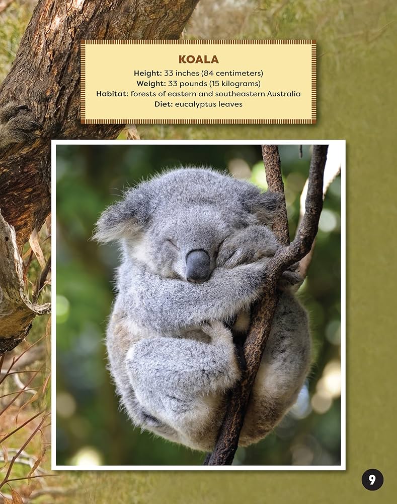 Awesome Animals of Australia: The Continent and Its