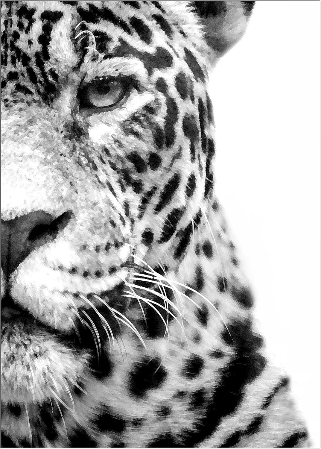 ProTuning PJÄTTERYD Picture, in the spotlight, 50x70 cm