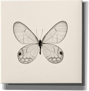 Epic Graffiti Butterfly I B&W by Debra Van Swearingen, Canvas Wall Art, 12"x12"
