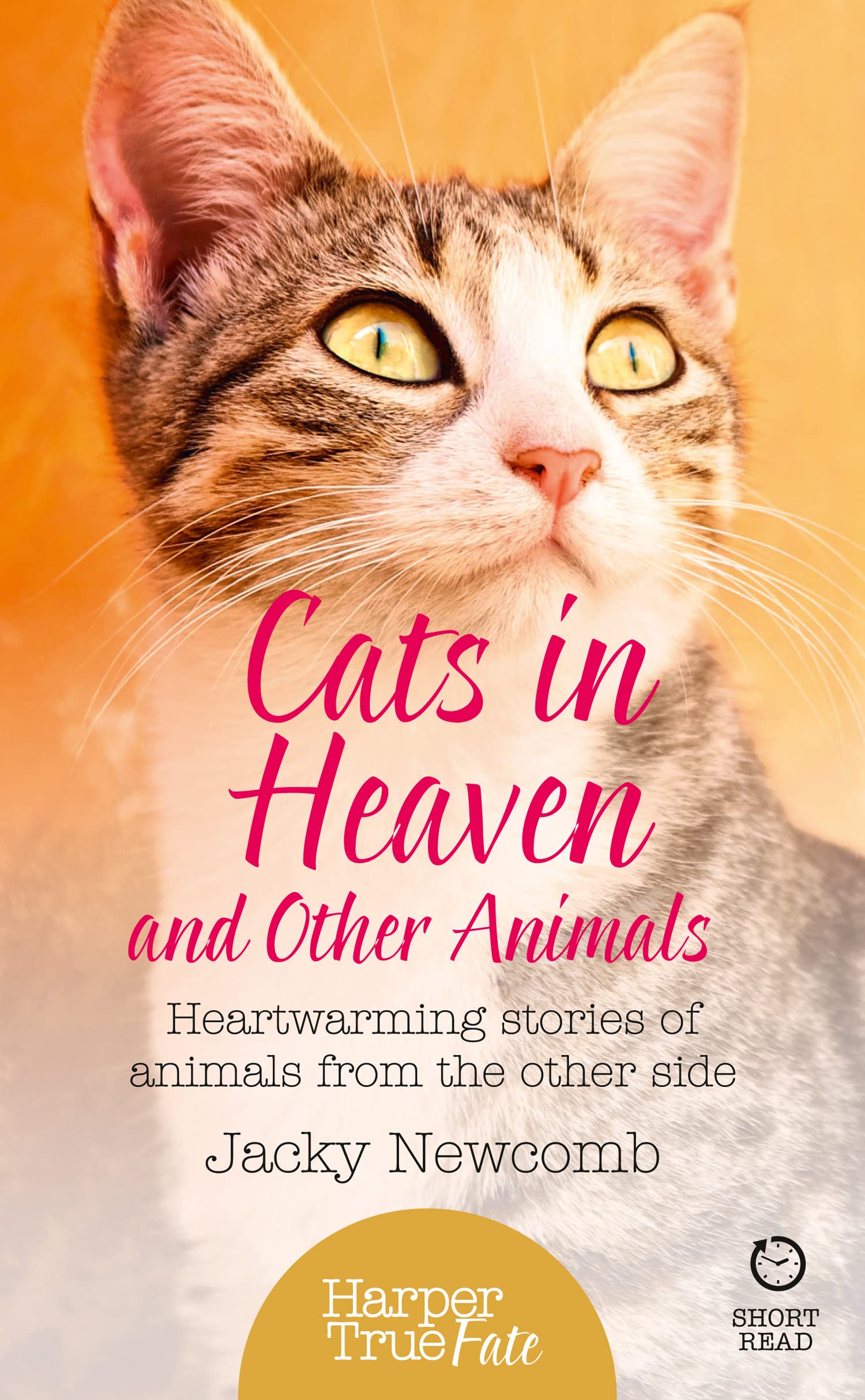 Cats in Heaven: And Other Animals. Heartwarming Stories of Animals from the Other Side. (Harpertrue Fate - A Short Read)