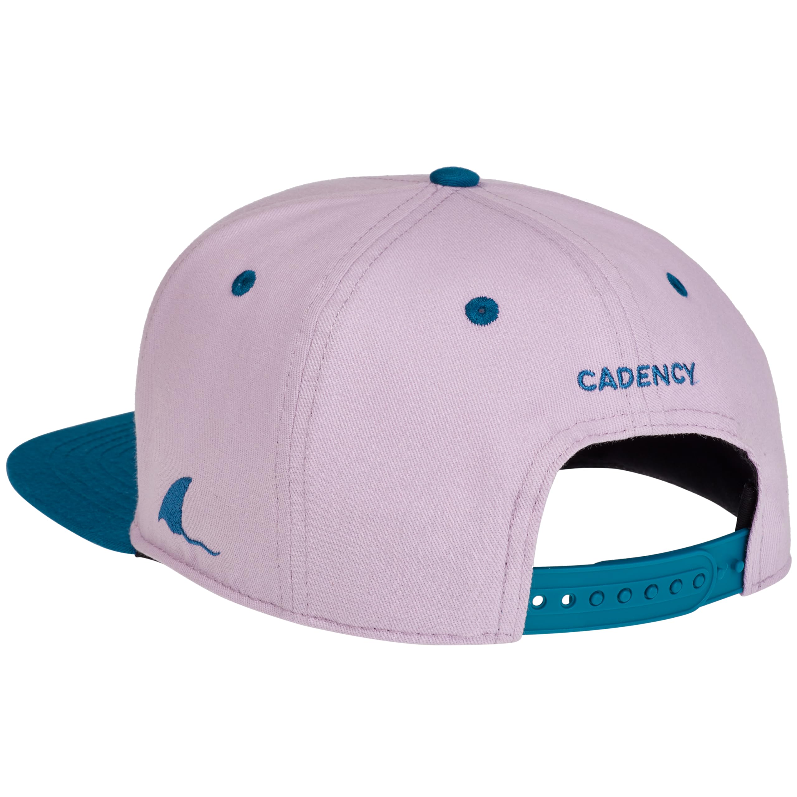 Cadency® Gorras Snapback para hombre y mujer, únicas, temáticas individuales, gorra de béisbol recta, gorra de béisbol, unisex, talla ajustable