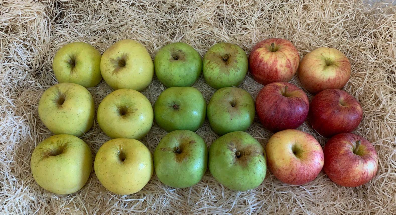 Caja Todo Manzanas MINI 3,5 kilos - Producción propia Venta directa Producto fresco