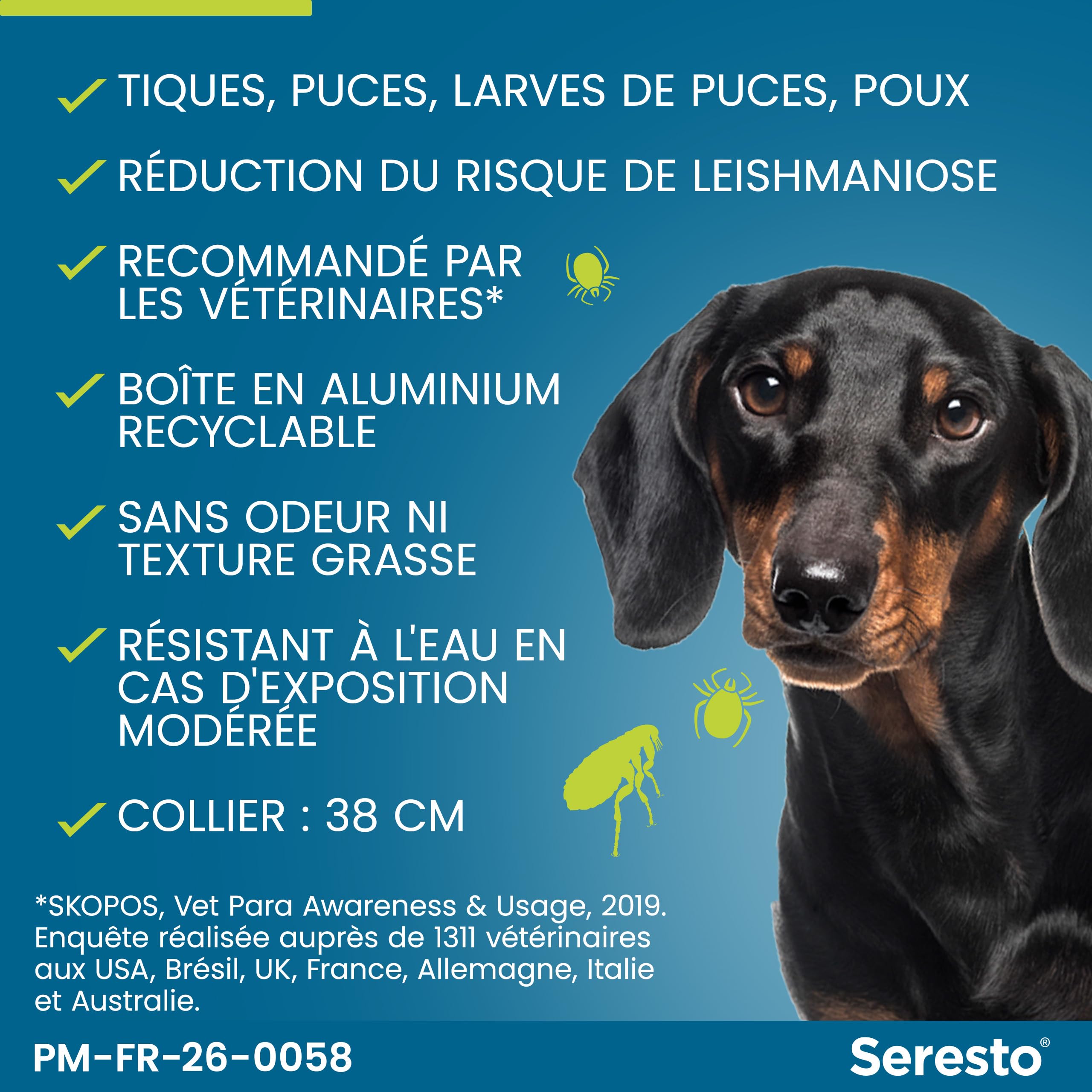 Seresto Collier Petits Chiens – 2 Colliers anti puces et anti tiques longue durée pour petits chiens de moins de 8kg – Protection leishmaniose, tiques, puces continue pendant 7 à 8 mois – Gris