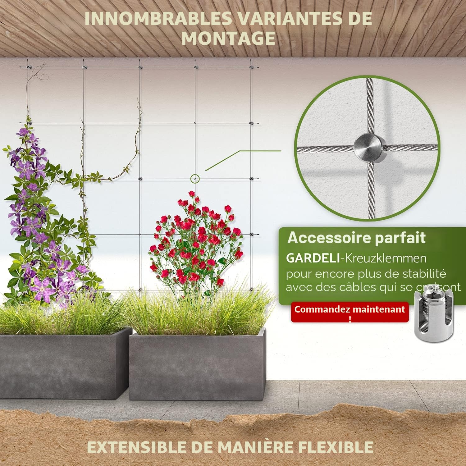 Support pour Plantes grimpantes, kit Complet en Acier Inoxydable avec Supports muraux et Corde de 3 mm (4 Supports, 6m de Corde)