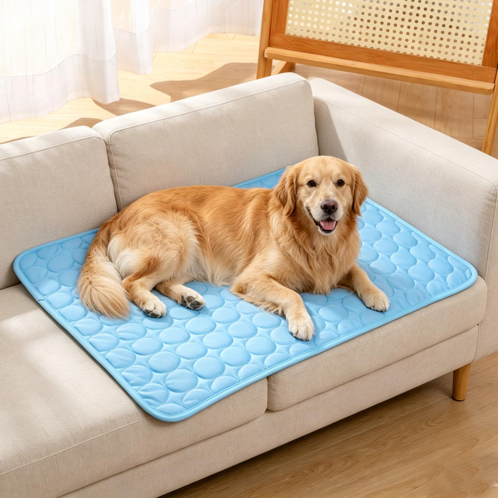WARMAX 2026 New Dog Cooling Mat, Ice Silk Self Cooling Pad for Large Medium Small Dogs, Non Slip Washable Pet Cooling Bed for Crate Kennel Car Seat Indoor Outdoor Summer Use (Blue, XS)