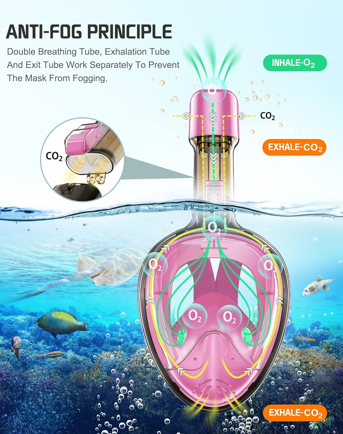 Greatever Full Face Snorkel Mask, Snorkeling Gear for Adults with Latest Dry Top Breathing System and Detachable Camera Mount, Foldable Snorkel Set for Family Snorkeling Trips, Anti-Fog & Anti-Leak - Image 4