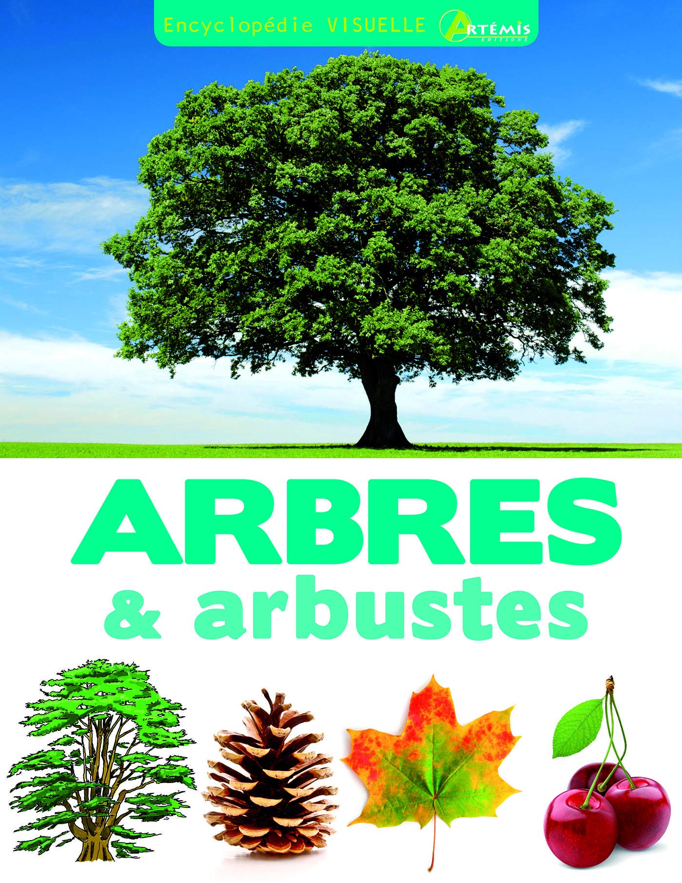 Arbres et arbustes: 0