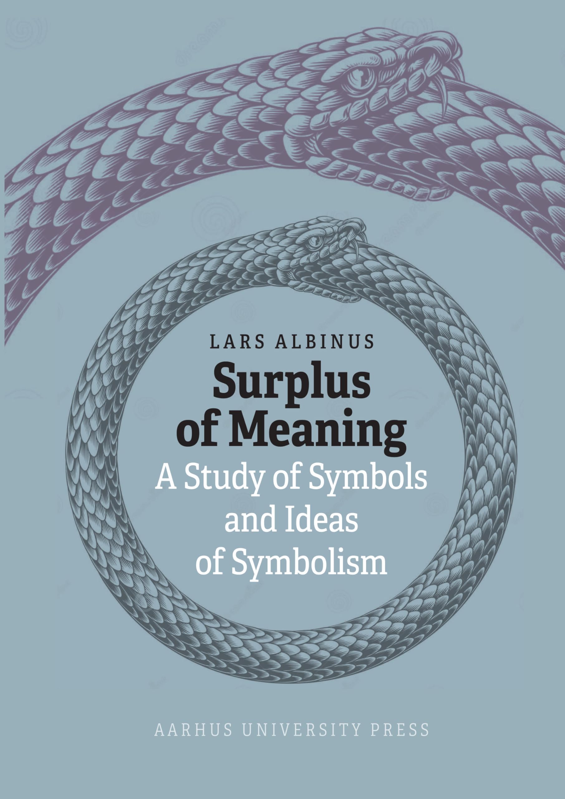 Surplus of Meaning by Lars Albinus - 9788775974481