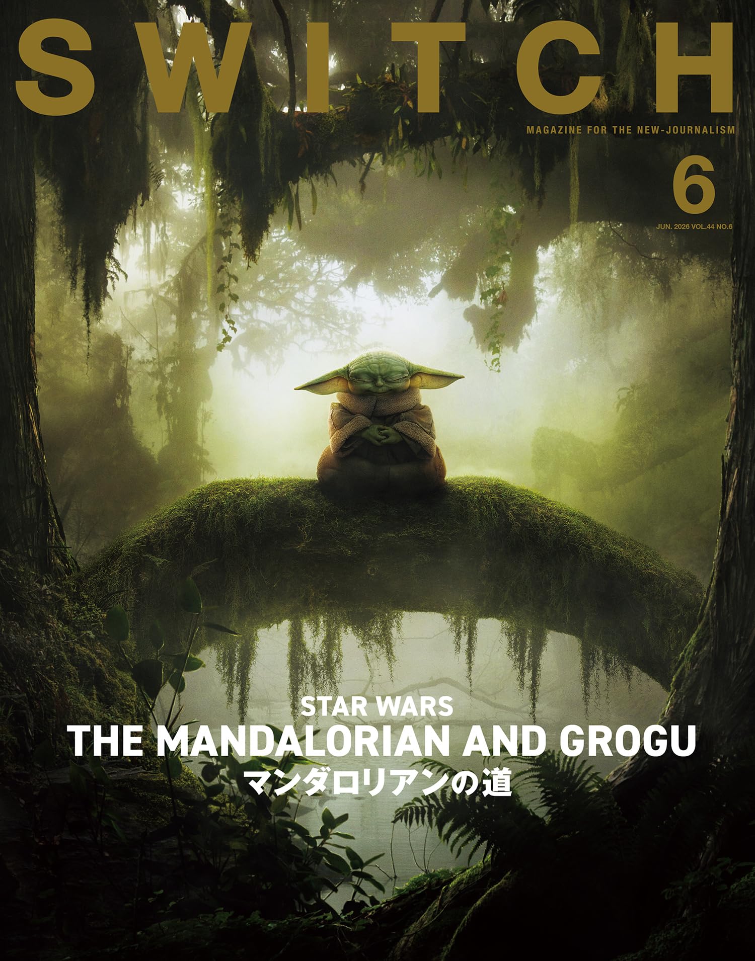 SWITCH Vol.44 No.6 特集 映画『スター・ウォーズ／マンダロリアン