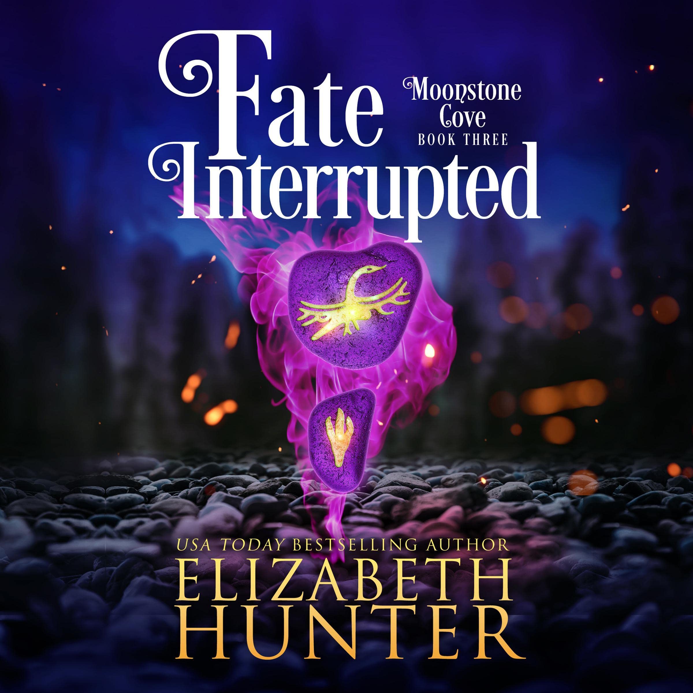 Cover art for Fate Interrupted