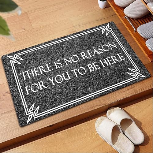 Miniatura 2 de Divertidas alfombrillas de bienvenida para interiores, alfombras de cocina personalizadas y tapetes antideslizantes novedosos (23.7 x 15.9 pulgadas)