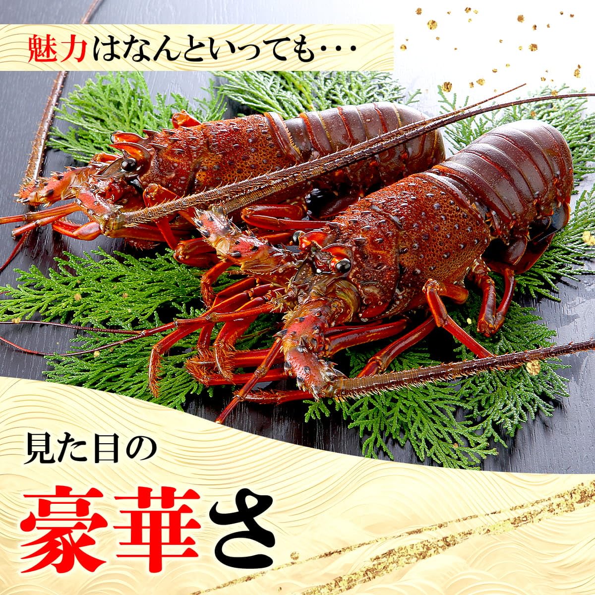 Amazon.co.jp: 【甲羅組】 天然 ロブスター 合計1.5kg前後（300g前後×5