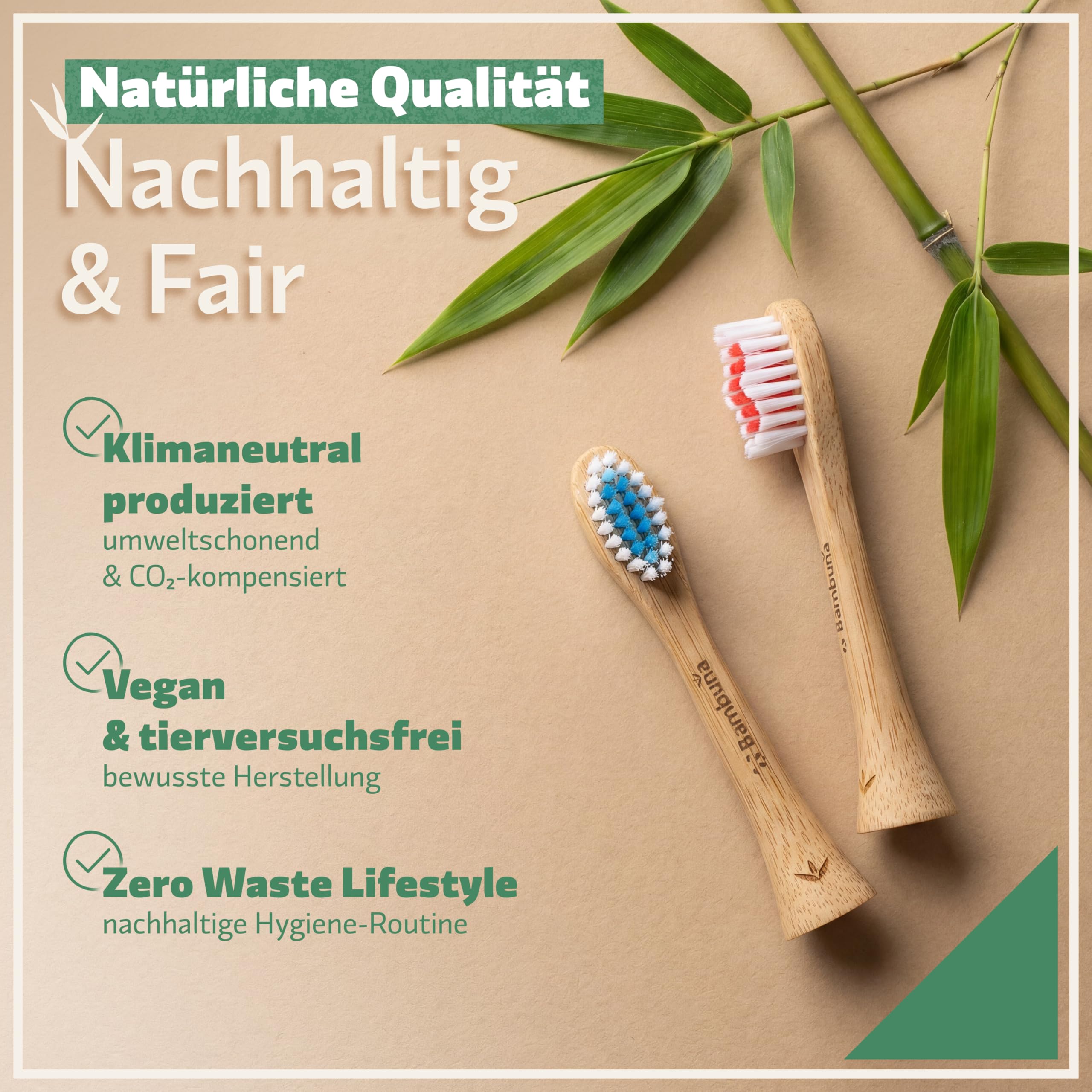 BAMBUNA Ersatzbürsten passend für Philips Sonicare Schallzahnbürste | Bambus Zahnbürstenkopf | Aufsteckbürsten Medium | PLA Verbindungsstück | vegan | BPA-frei | nachhaltig | 6er-Set | blau/rosa