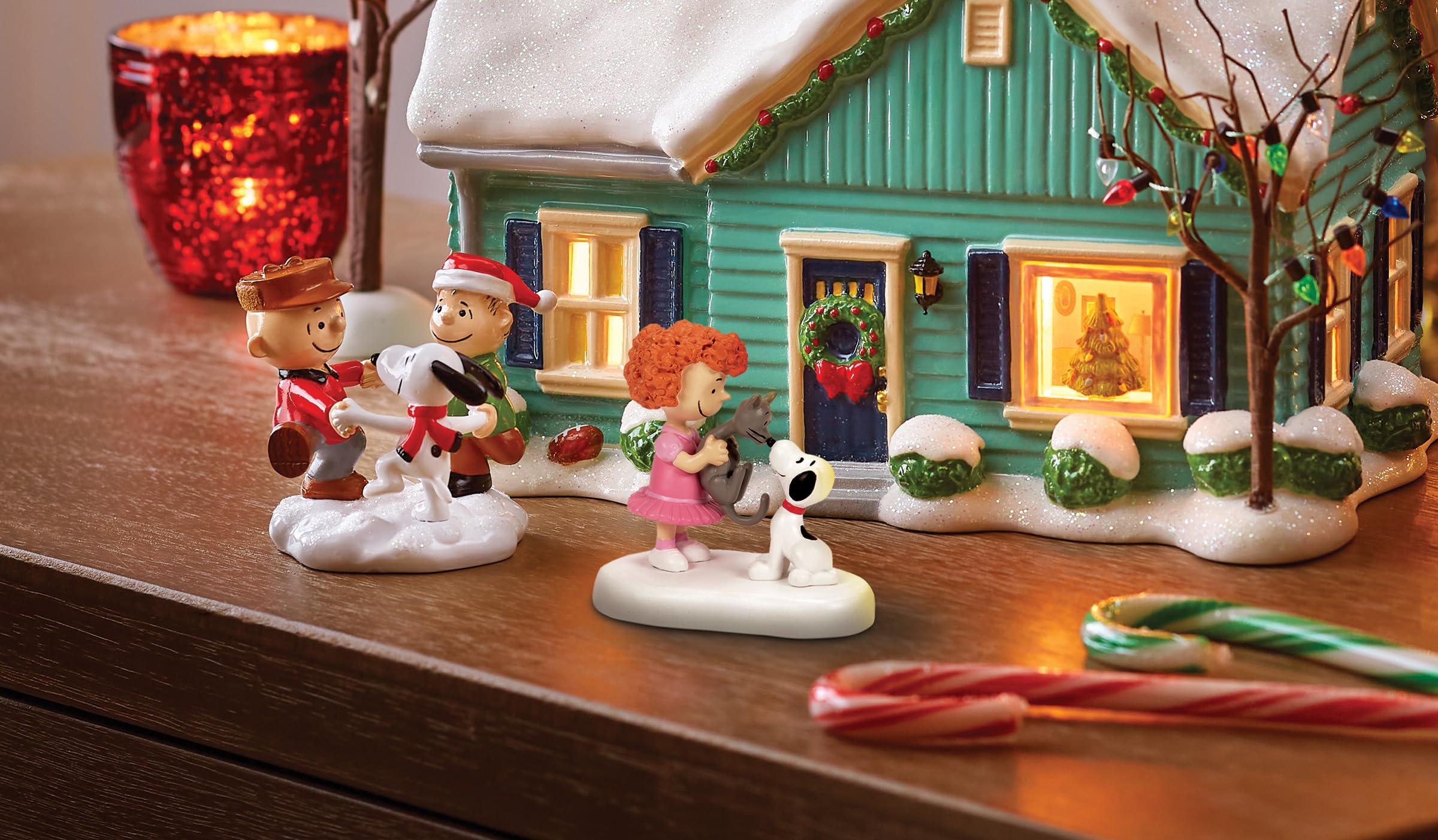 Amazon.com: Department 56 Peanuts Village Accessories Frieda and
