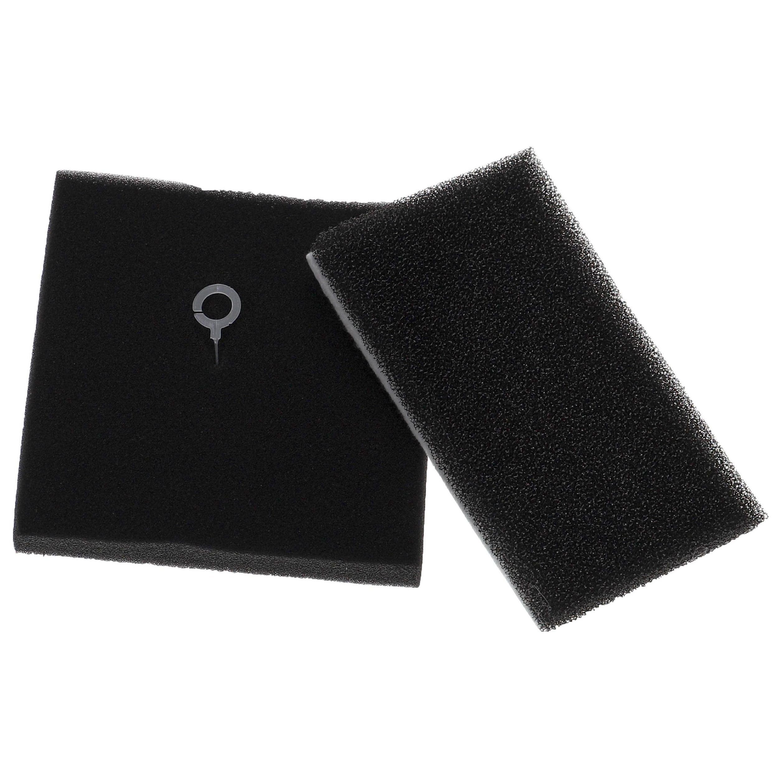 PURexpert XV1220/01 Ersatz-Filter-Set für Philips Beutellose Staubsauger Serie 2000(Alternative zu CP1102/01,CP1101/01) (2 Pack