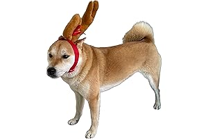 ComfyCamper Grinch Dog Antler Halloween Costume for Puppy Cat