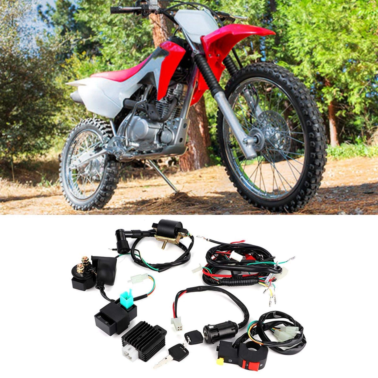 Yctze per Cablaggio Dirt 250 Cablaggio Completo per avviamento rapido Dirt Bike PITPRO 50 accensione per Dirt Bike Cablaggio accensione