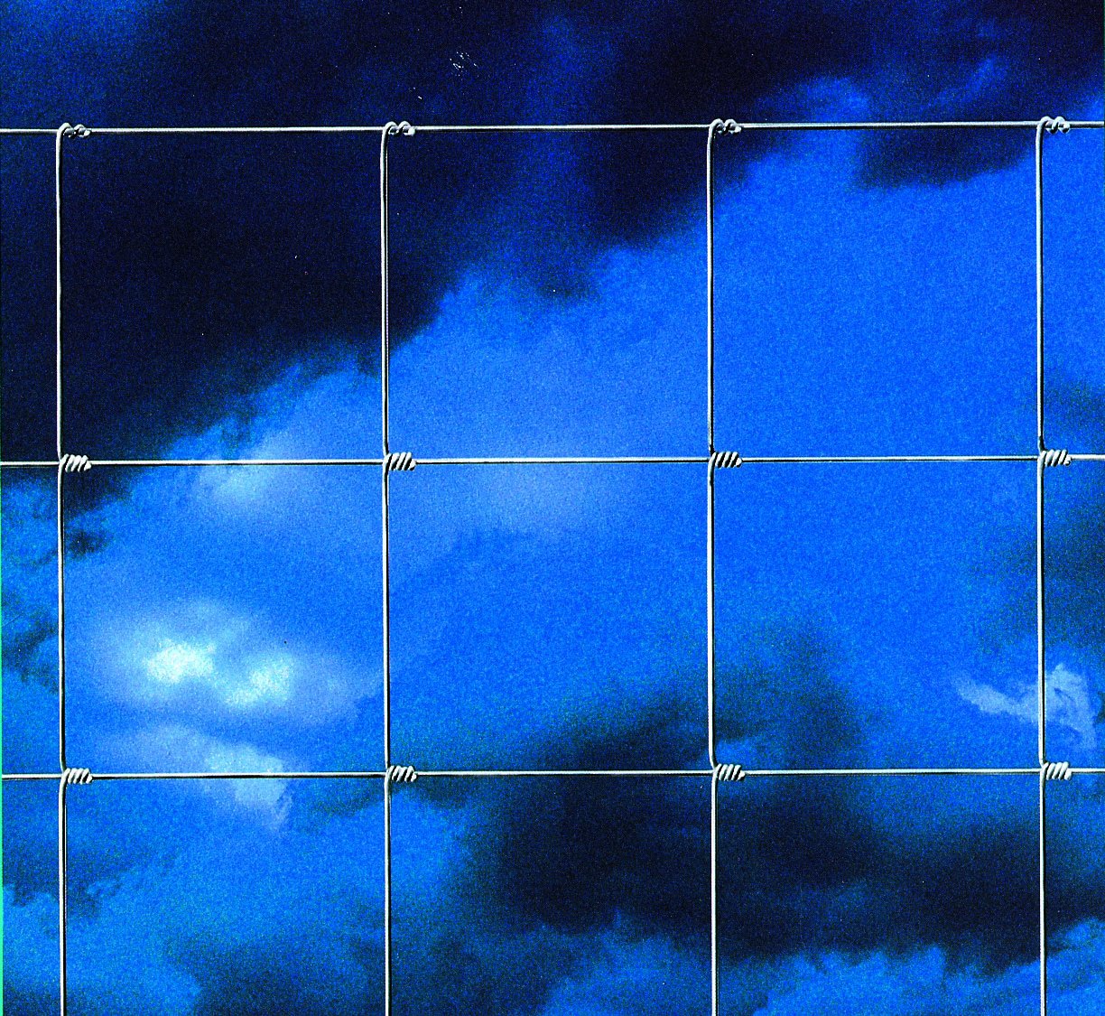 Blinky Rete Zincata A Nodi Rotolo Mt.50 100- 8-15 - 4