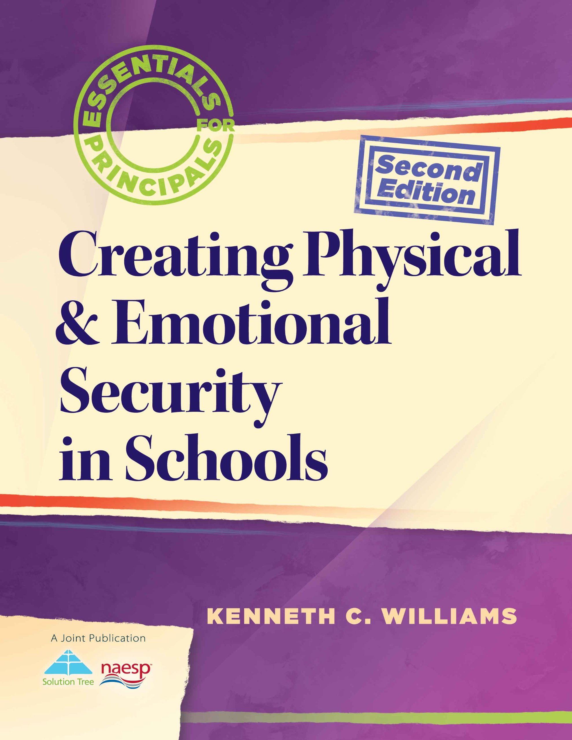 Creating Physical & Emotional Security in Schools (Leading Edge)