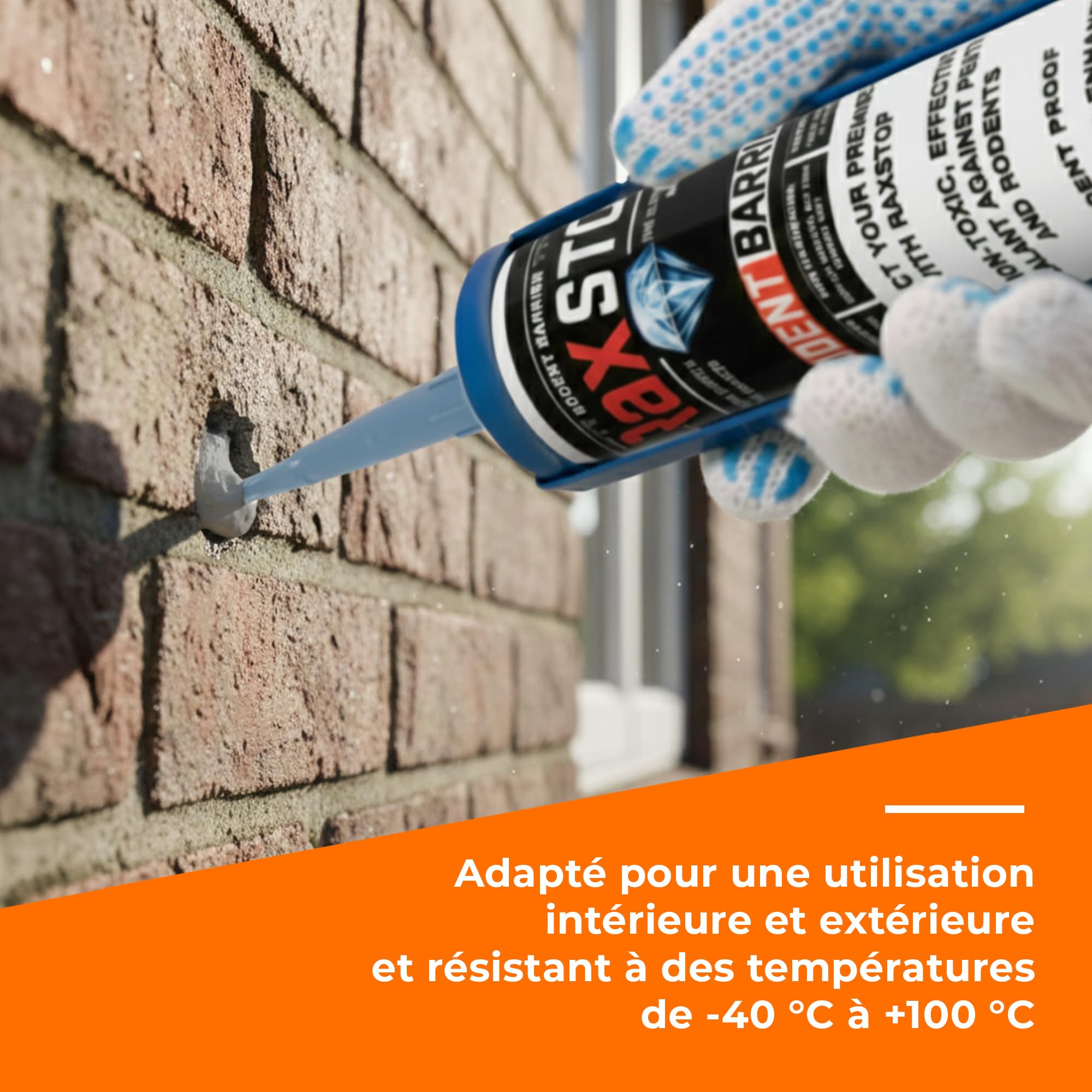 RAXStop 5 x 300 ML Joint Porte Professionnel pour Étanchéité Durable des Bâtiments Mastic Résistant aux Intempéries pour Fissures Passages Techniques et Applications Extérieures