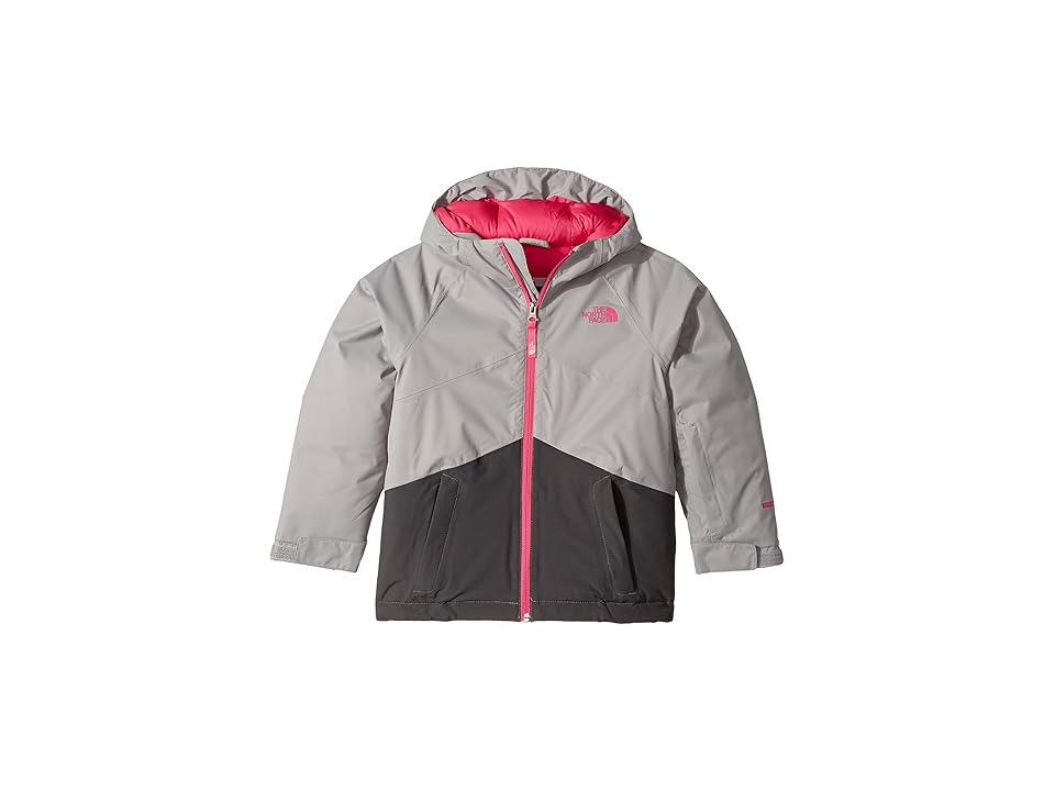 

The North Face Kids Brianna Insulated Jacket (Little Kids/Big Kids) (Metallic Silver (Prior Season)) Girl's Coat