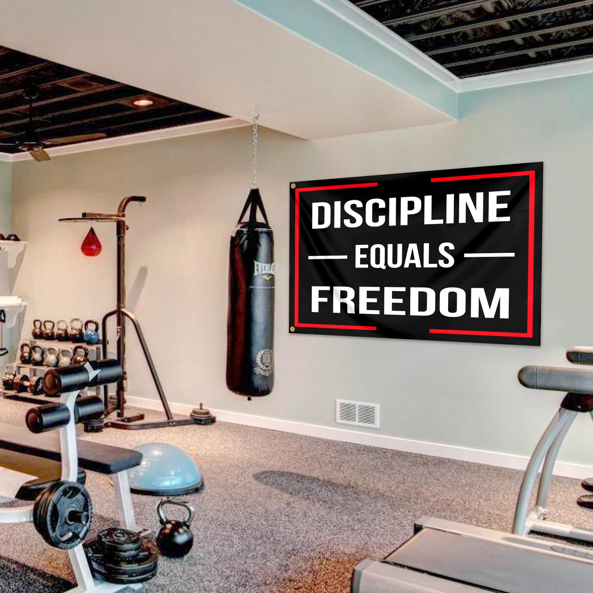 Minimalist Apartment Gym Ideas Minimalist Home Gym Reddit Arnold - Main Image