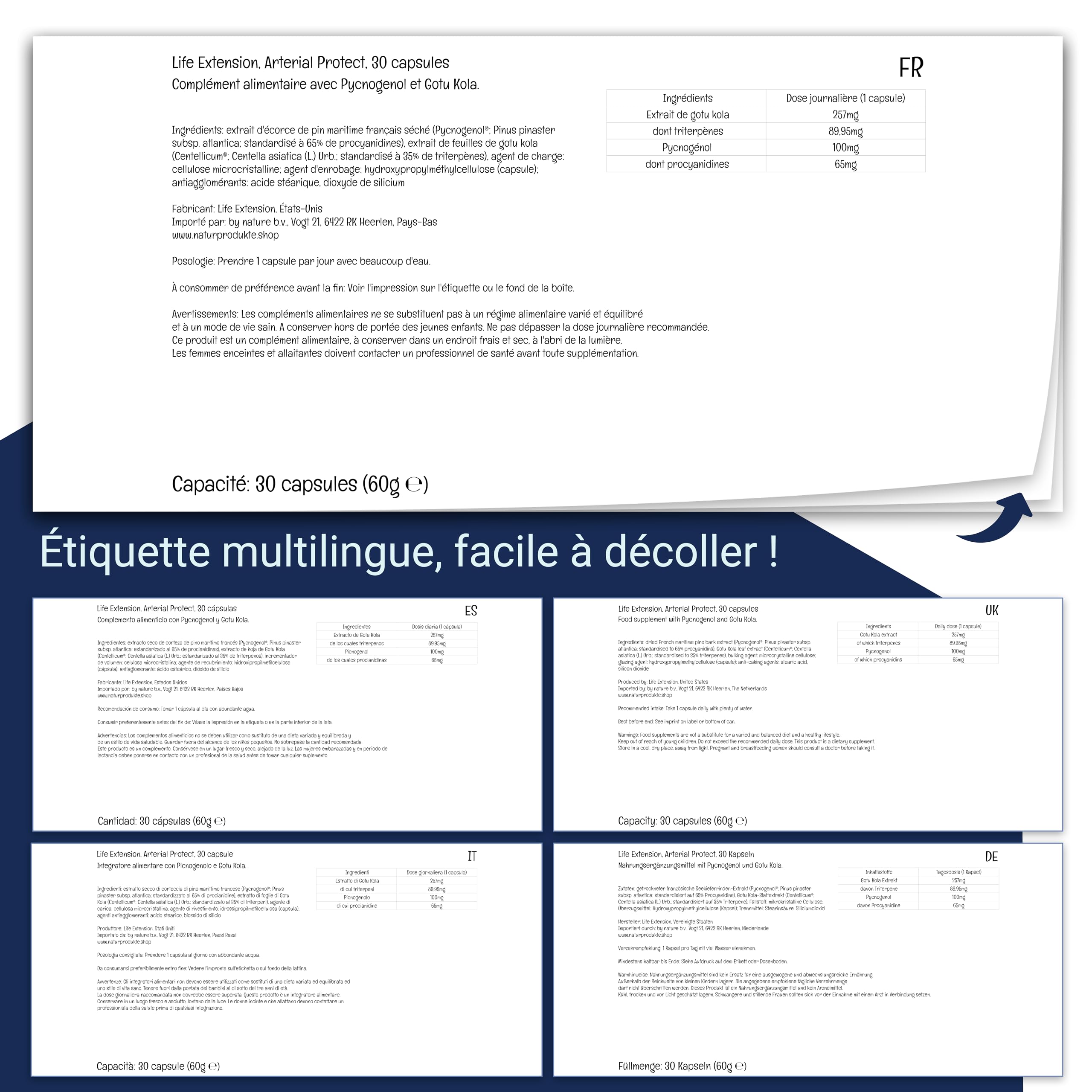 Life Extension, Arterial Protect, Extrait d'Écorce de Pin et Gotu Kola, 30 Capsules végétaliennes, Sans Gluten, Végétarien, Sans Soja, Sans OGM