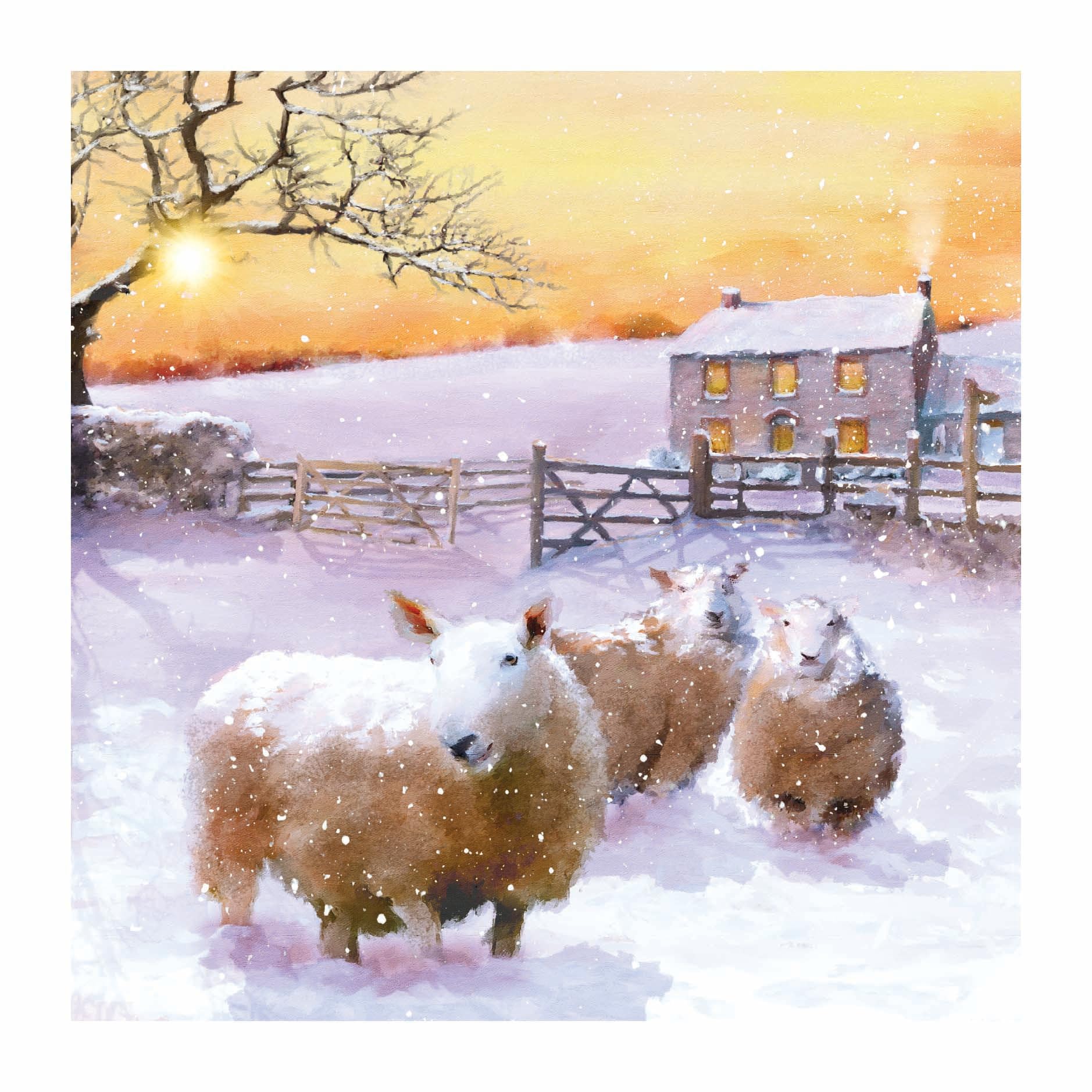 Pack of 10 Large Festive Charity Christmas & Happy New Year Cards with Envelopes - 16x16cm - Eco-Friendly & Recyclable (Sheep Flock in Snow)