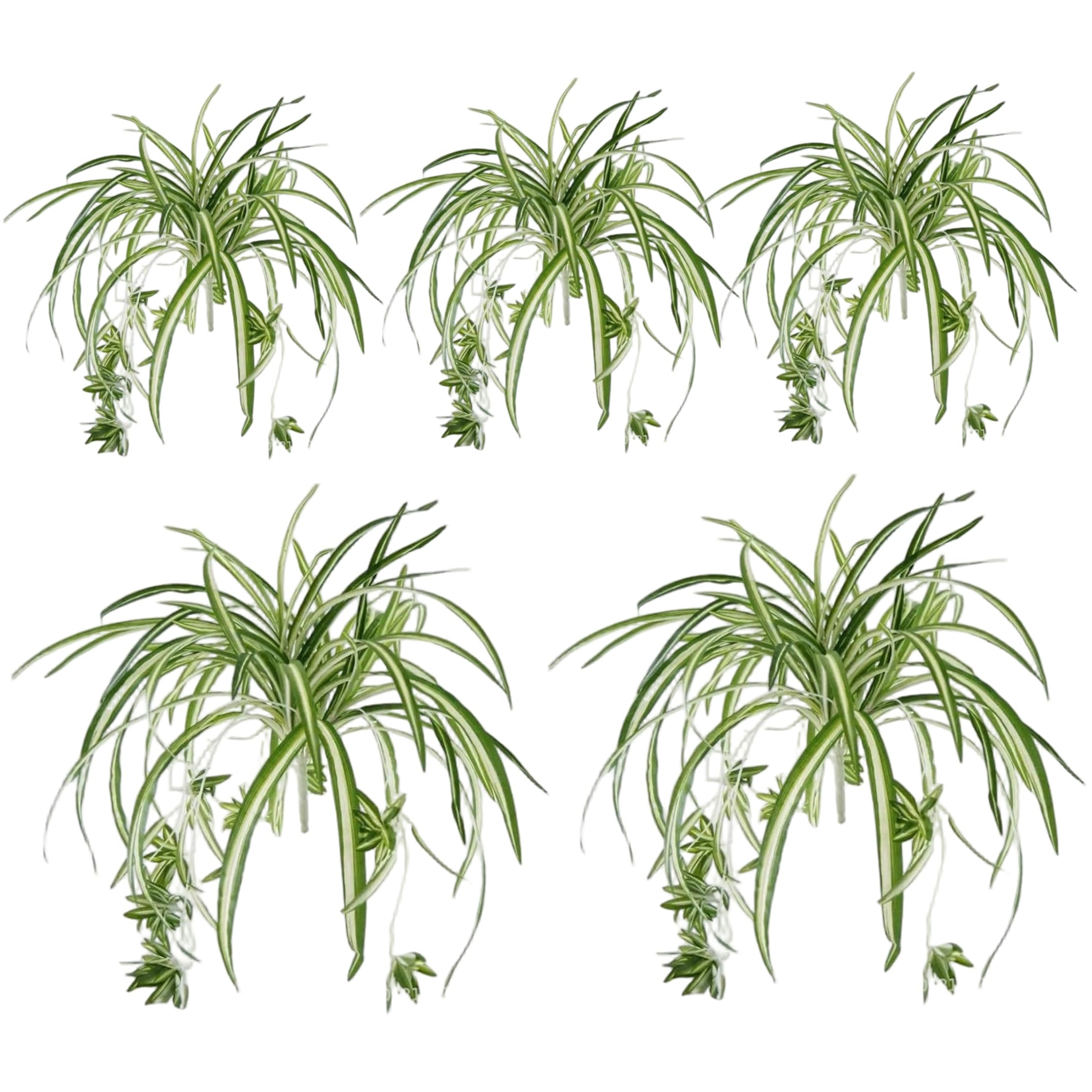 Striegro Artificial Spider Plant, 5pcs Faux Spider Plant - Lifelike Gold-edged Faux Greenery For Indoor & Outdoor Decor..