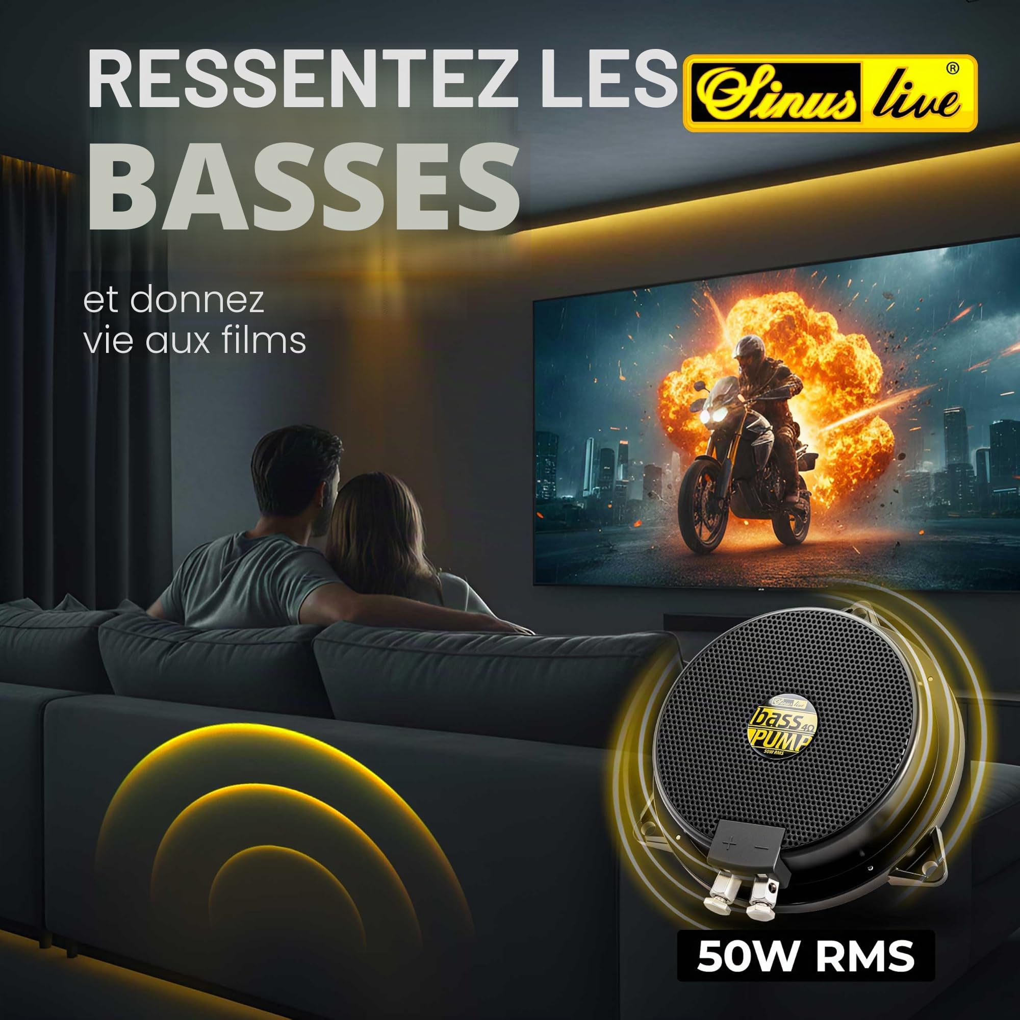 Haut-Parleur excitateur 80 W Sinuslive Bass-Pump III 4 ?
