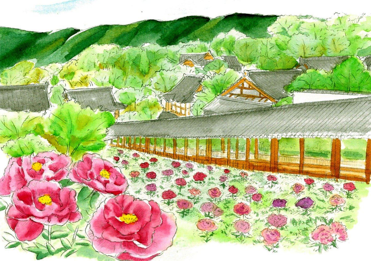 View 6