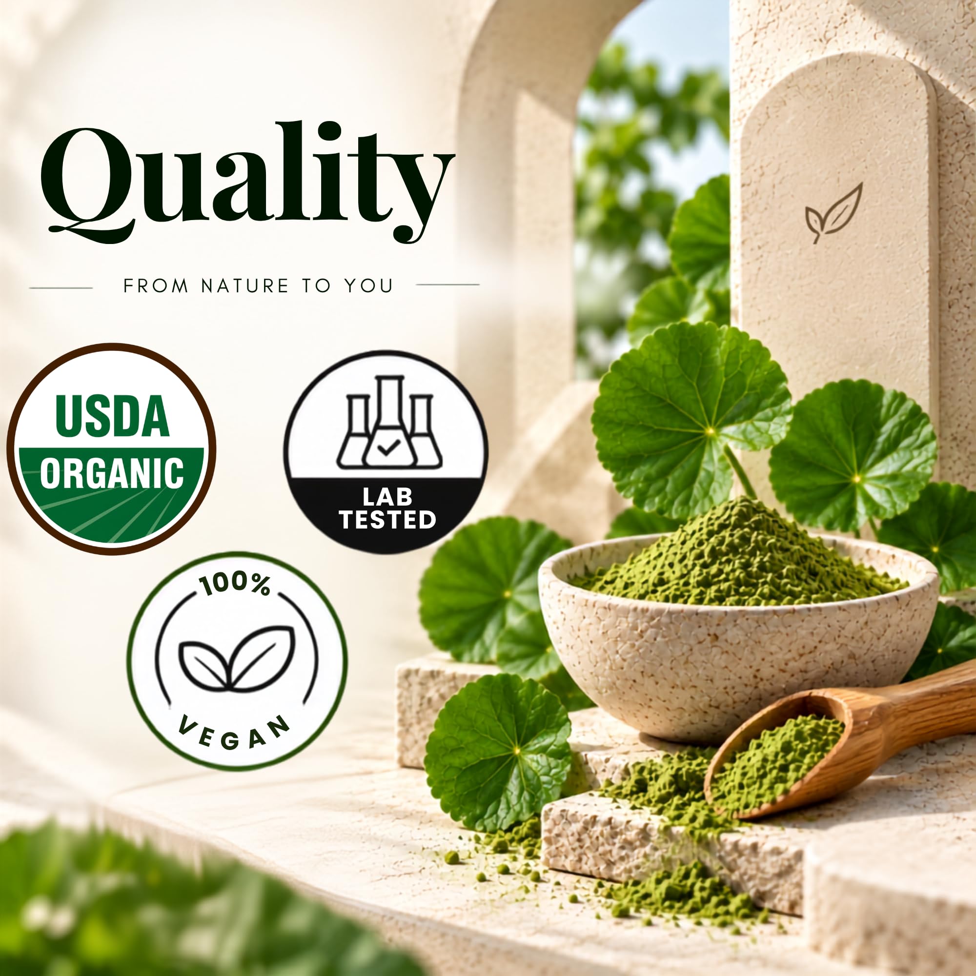 Vitamatic USDA Organic Gotu Kola Powder – 1 lb (16 oz) — Amazon image 8