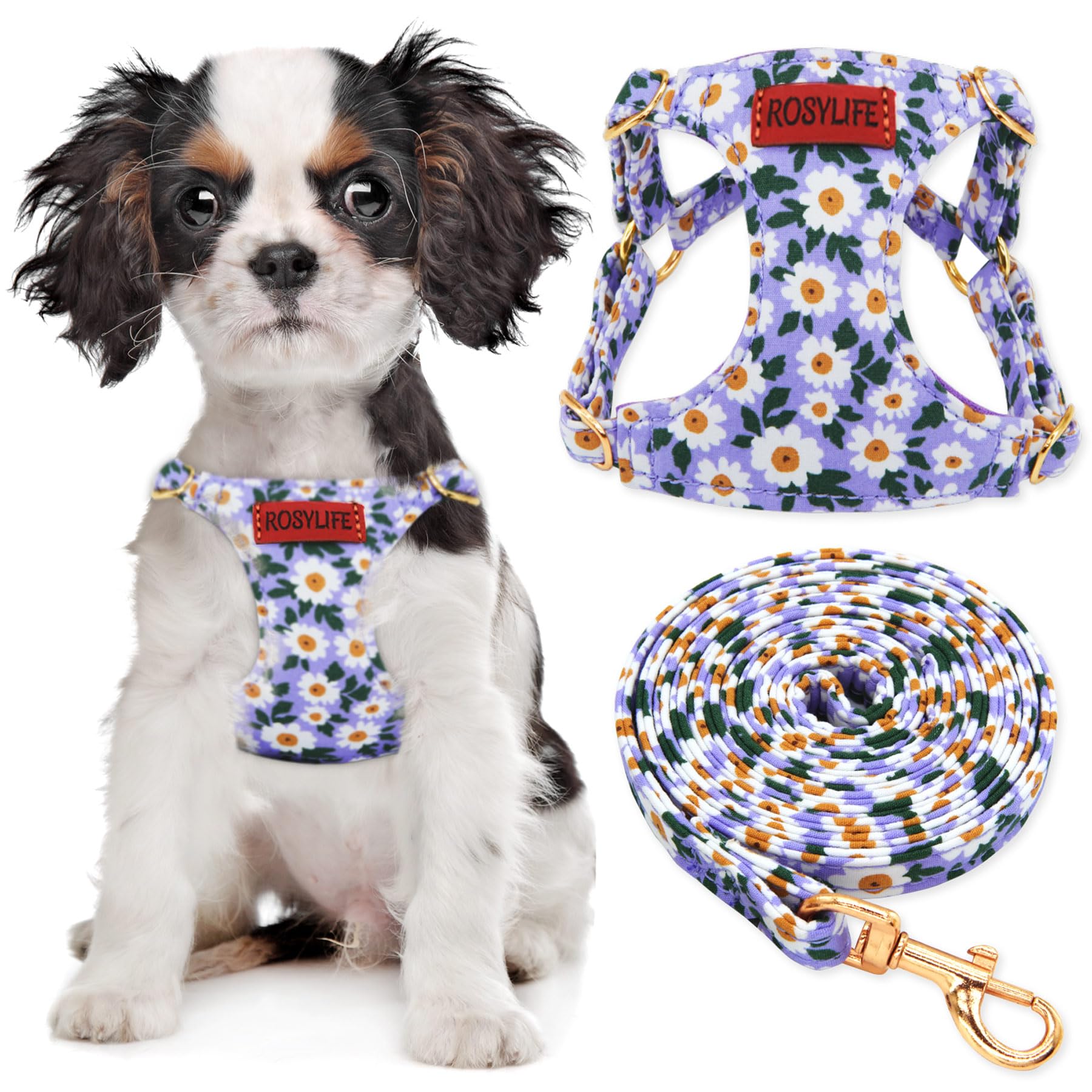 No Pull Dog Harness Adjustable Small Harness and Leash Set, Lightweight and Soft Dog Harness No Choke Escape Proof Pet Harness Vest (Purple Daisy, XS)