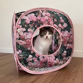 ねこ様 Amazon | ねこのきもち 猫テント 猫ハウス 岩合光昭「ねこ22