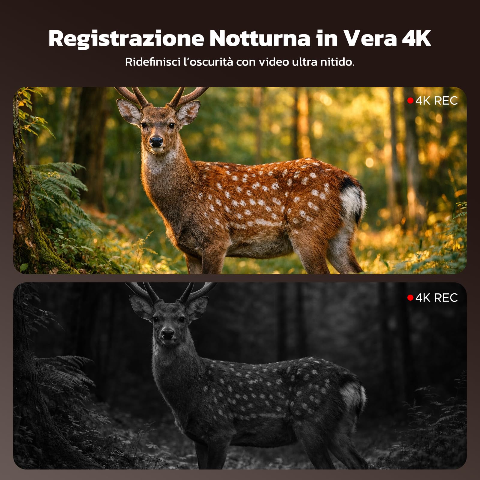 Binocolo Visione Notturna 4K 48MP con Zoom 10x e Visore Notturno, Batteria Ricaricabile 5000mAh per Osservazione fino a 400m, Ideale per Outdoor, Campeggio e Sicurezza