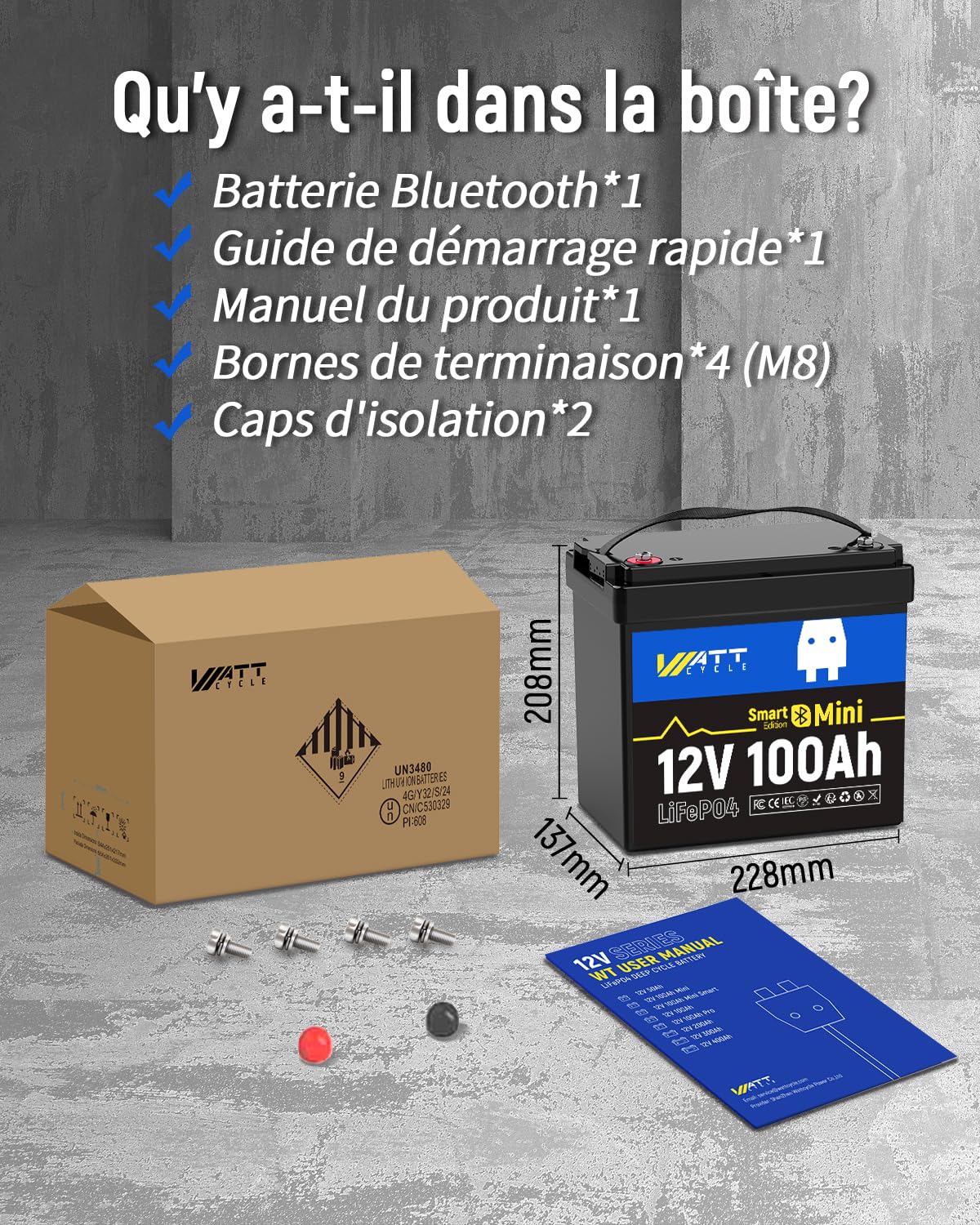 Batería de Litio LiFePO4 12V 100Ah con Bluetooth, Grupo BCI 24, 12V Mini Baterías 100A BMS Inteligente, Soporta Bluetooth en Teléfono, 15000 Ciclos Profundos, Motor de Arrastre Marino RV