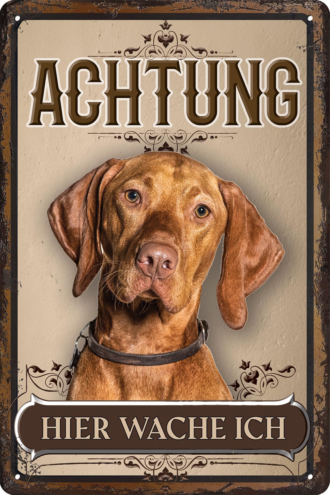 30 x 20 cm wetterfestes Blechschild, Warnhinweis, Torschild, Achtung, hier Wache ich! Warnung vor dem Hund (Vizsla)
