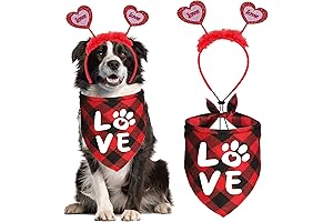 Canine Valentine's Finery: A Festive Bandana and Headband Ensemble