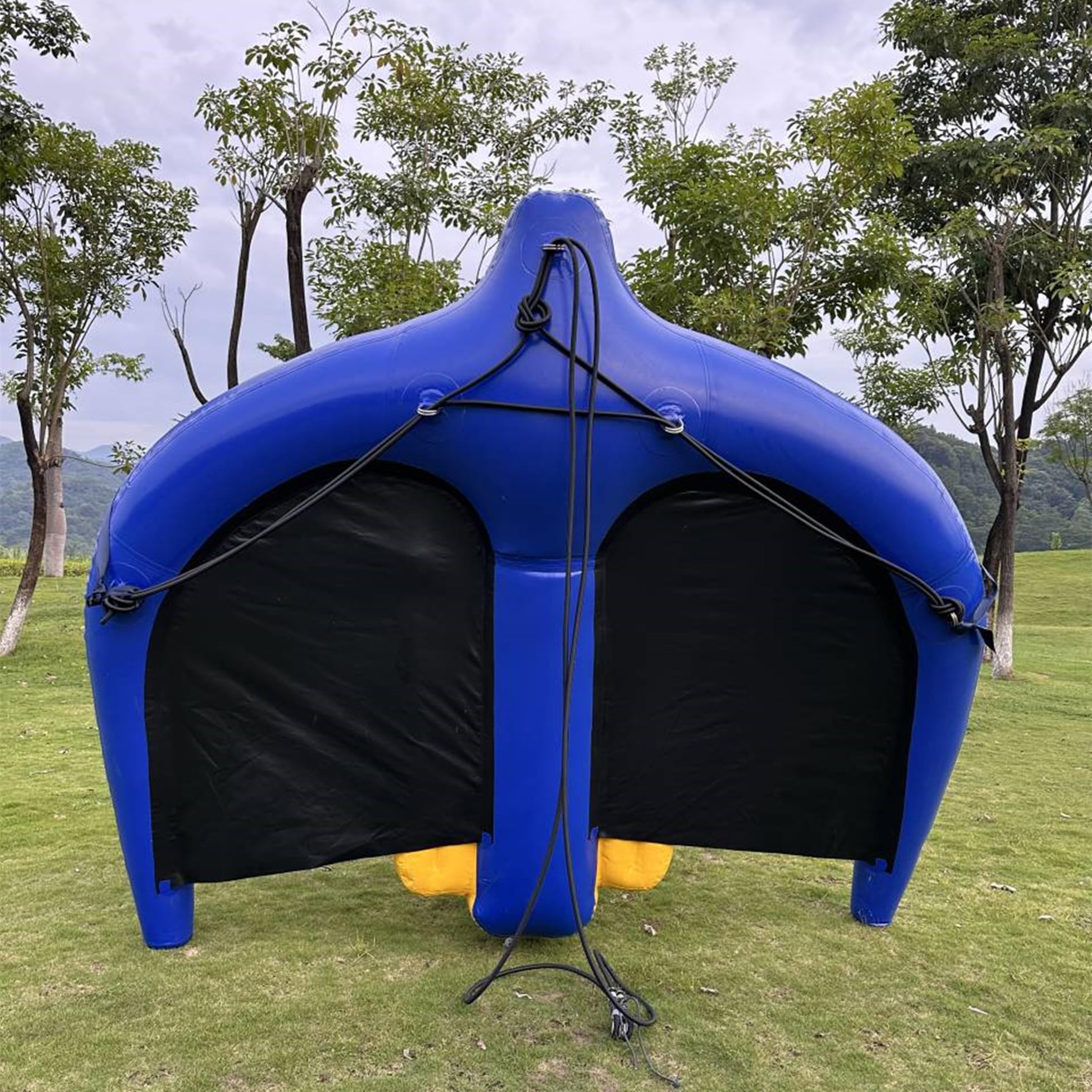 Amazon.co.jp: 牽引可能 空気注入式 フライングマンタレイ ウォーター
