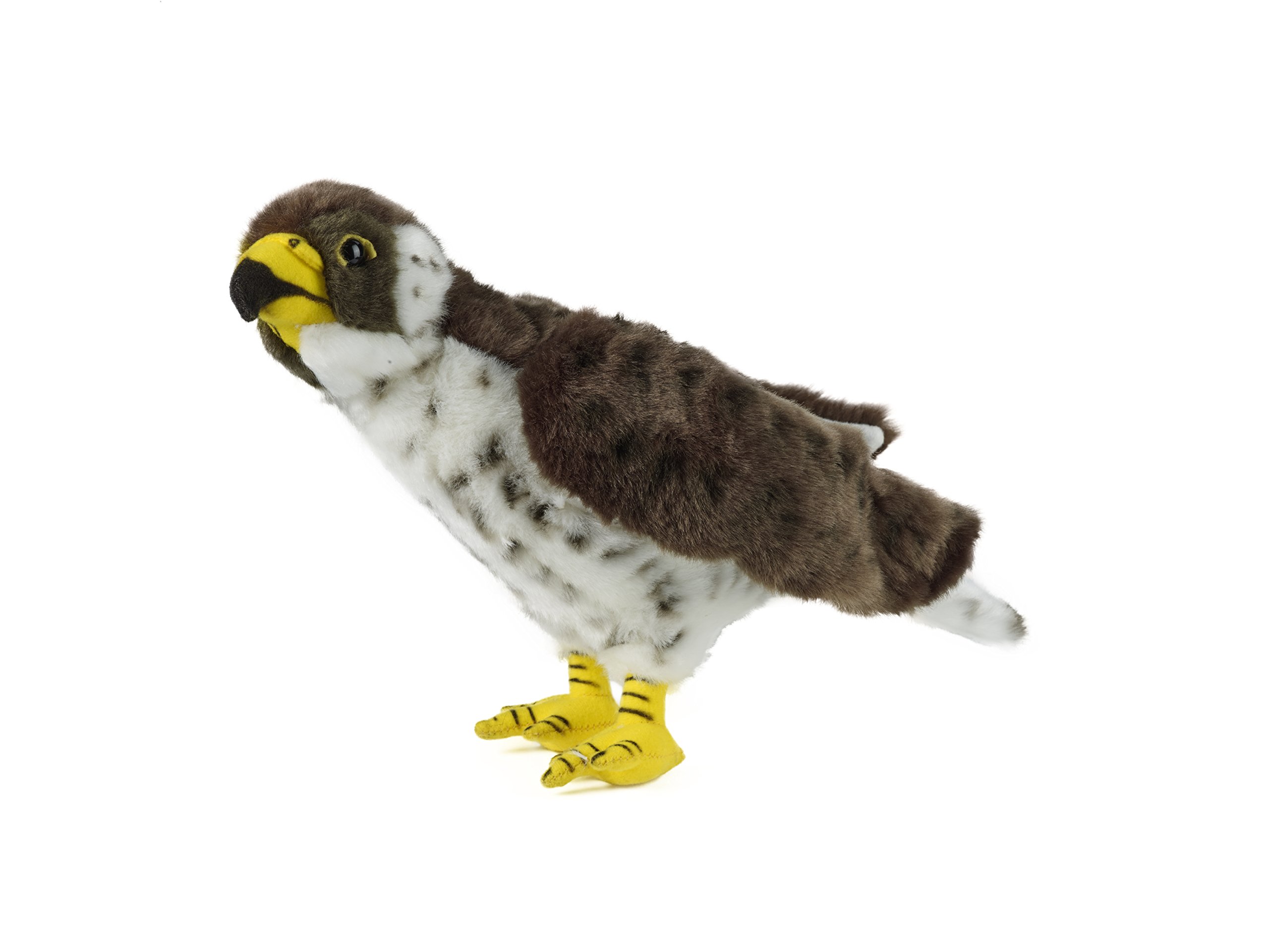 Plush Soft Toy Bird of Prey Peregrine Falcon Buy Online in United Arab